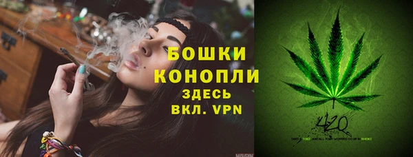 прущие крисы Киренск