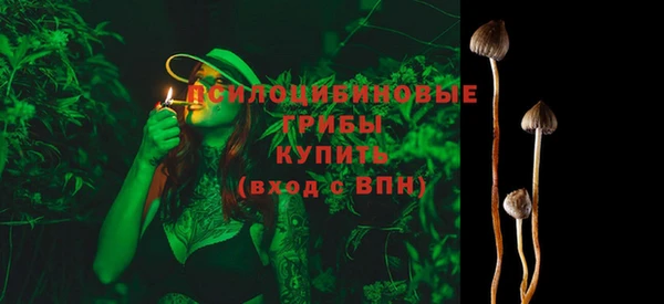 прущие крисы Киренск