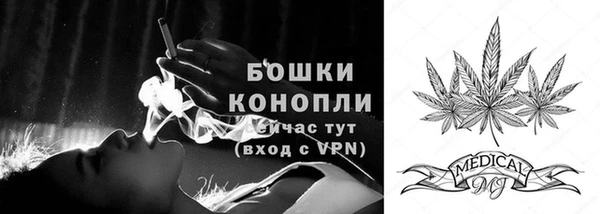 прущие крисы Киренск